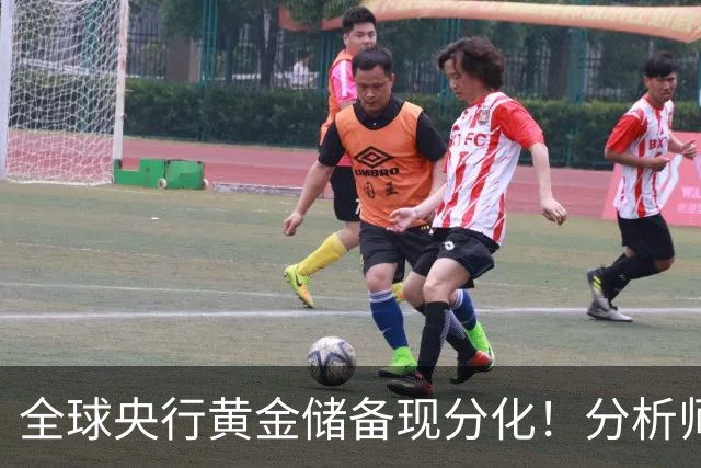 全球央行黄金储备现分化!分析师:影响有限,不改金价长期上涨趋势